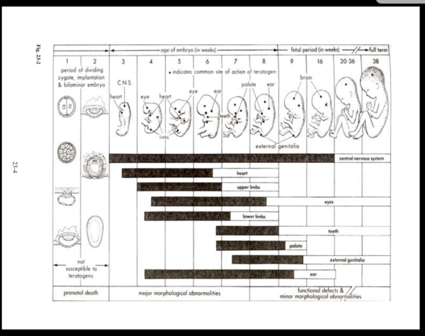 To be seriously concerned a nurse didn’t know this?!