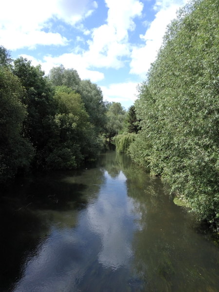 Any Witches Here? Part 8.