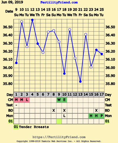 First Pregnancy Missed Miscarriage (Part III)