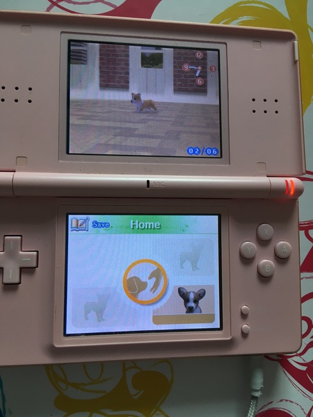 Does anyone have Nintendogs for the Nintendo DS?