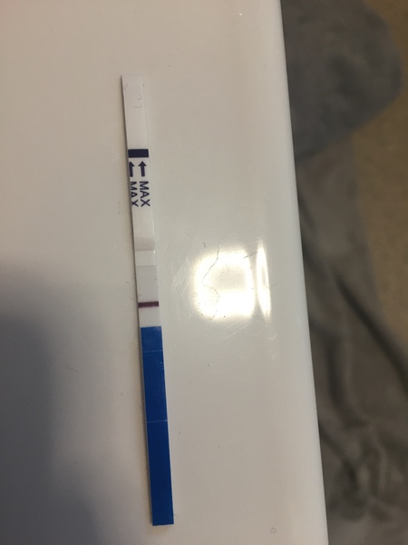 Has anyone used the promatis ic tests?