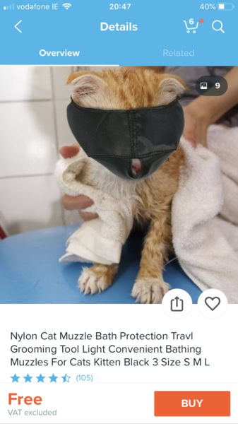 To ask what on earth this is??