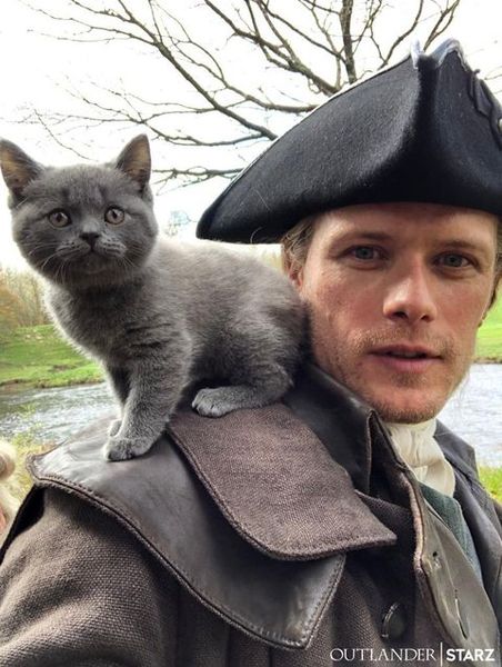What would be a nice name for a cat like this