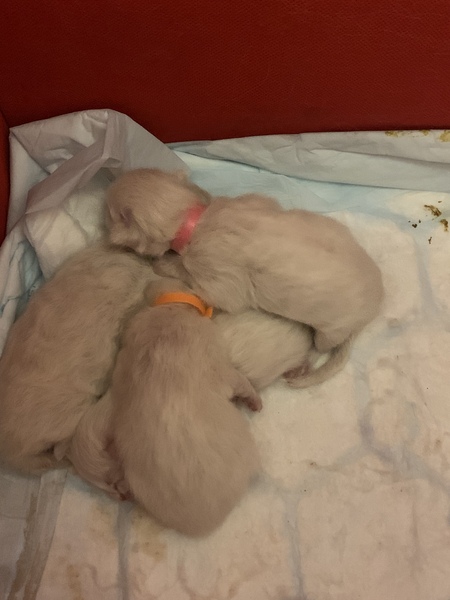 Who wants a live birth thread?