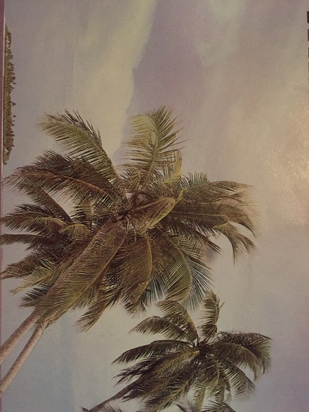 To be bored and what to play game of guess the album cover?