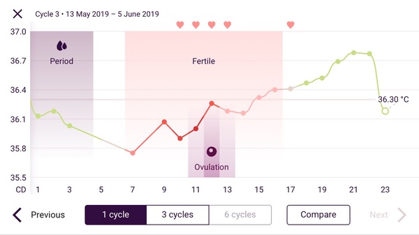 First Pregnancy Missed Miscarriage (Part III)