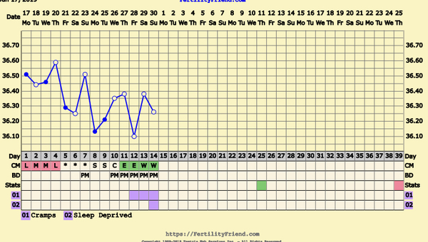 First Pregnancy Missed Miscarriage (Part III)