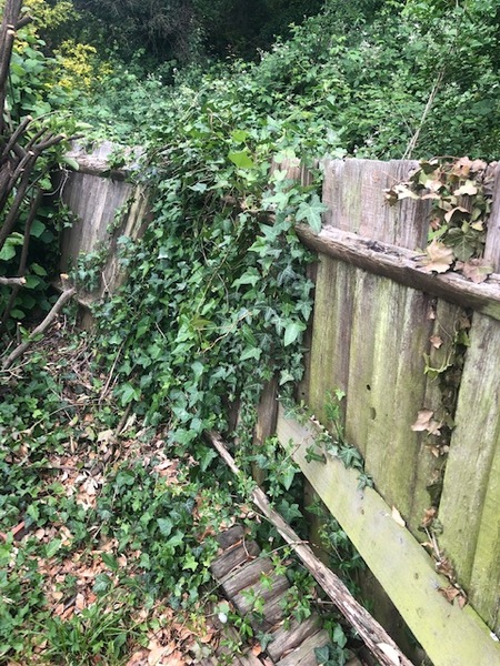 Neighbours never cut their grass.