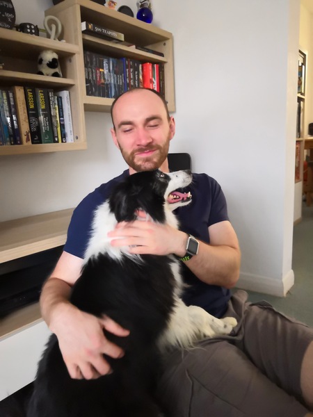 To adopt an 11 year old dog?