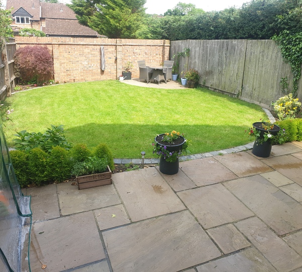What can we do with this garden? (Photo included, I hope!)