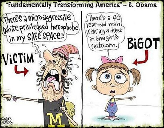 Share your favourite Gender Critical memes here!