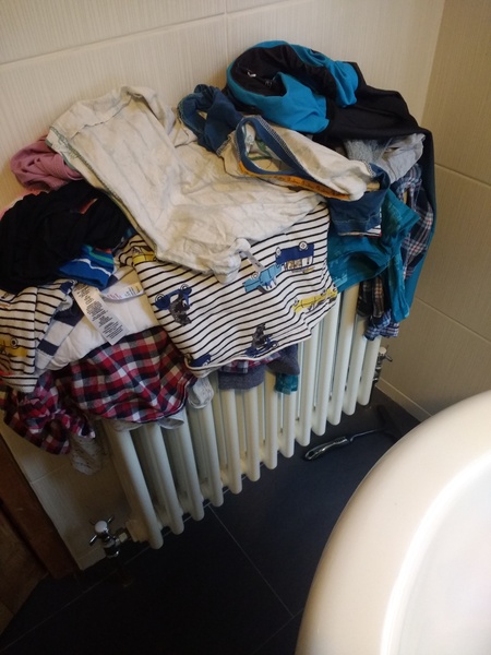 Think DH got bored of hanging the washing last night