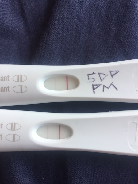 2dp5dt BFN