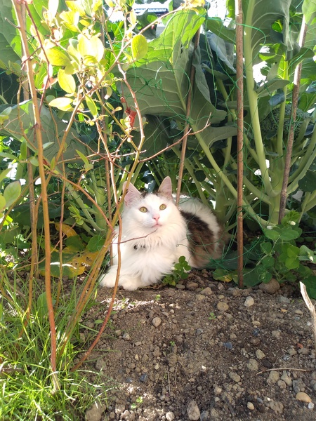 What's your DCat up to today? (Thread 7!)