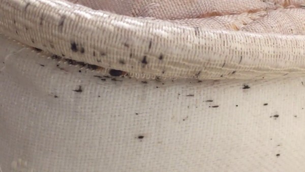 What is biting me (with pics)