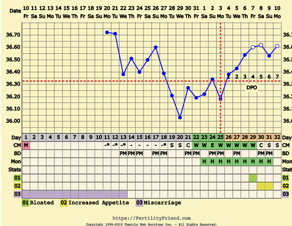 First Pregnancy Missed Miscarriage (Part III)
