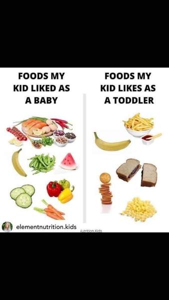 Amazing eater suddenly fussy