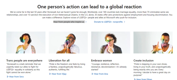 Diversity, Microsoft style is 100% male and supports Mermaids while lining their pockets with rainbow dollars...