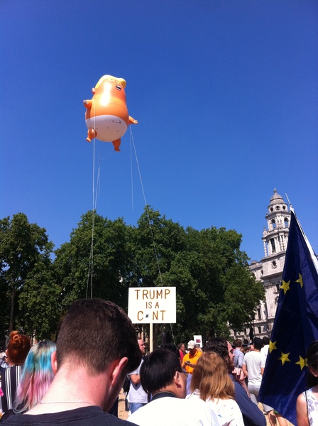 Is Donald Trump ill? Otherwise what would explain such imbecility?