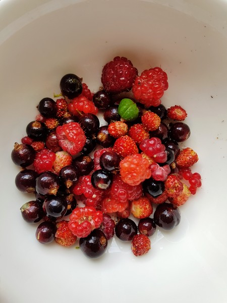 Allotment/Veg Patch Thread 14 ! growing into summer