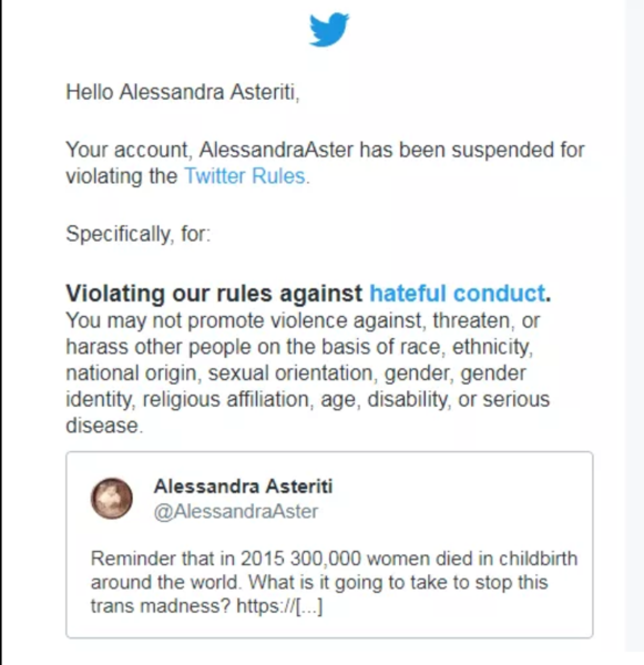 'How to be a Woman on Twitter' by Professor Alessandra Asteriti (who is one of many women suspended/banned following targetted reporting)