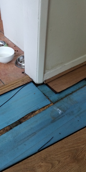 Patio breaching DPC