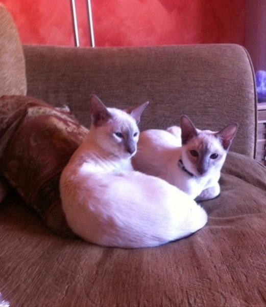 Westministenders: The start of our fourth year of fun