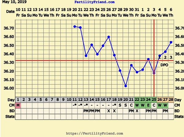 First Pregnancy Missed Miscarriage (Part III)