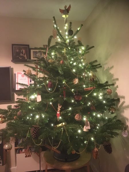 I've Finally Given In And Gone Modern. Show Me Your Tinsel-Less Trees?