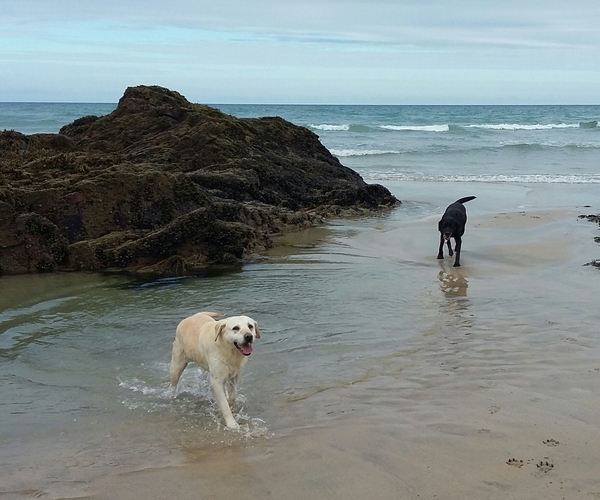 to want to live near a beach
