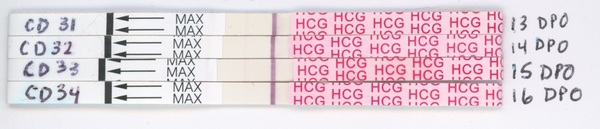 Evap Line or Positive?