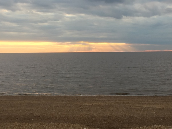 to want to live near a beach