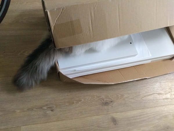 What's your DCat up to today? (Thread 7!)
