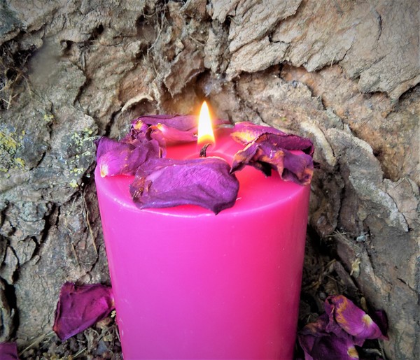 Any Witches Here? Part 8.