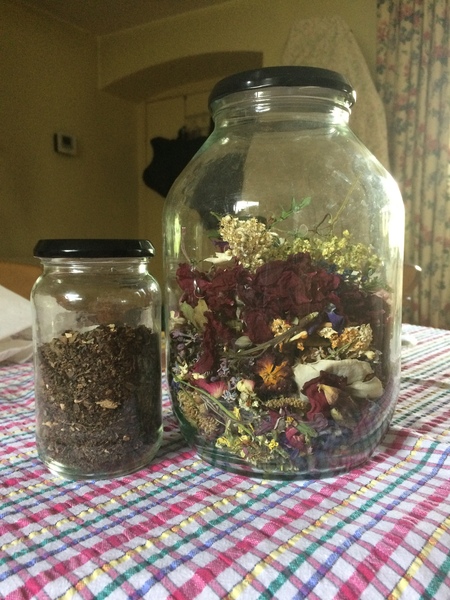 Any Witches Here? Part 8.