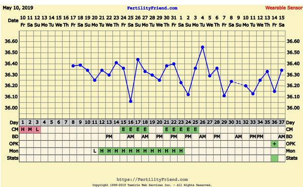 First Pregnancy Missed Miscarriage (Part III)