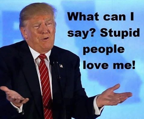 Is Donald Trump ill? Otherwise what would explain such imbecility?