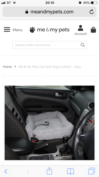 Ideas for getting dog comfy in the car
