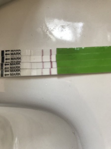 OPK Help