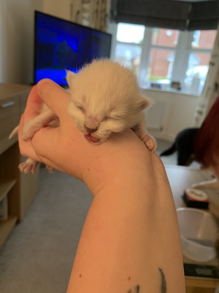 Who wants a live birth thread?