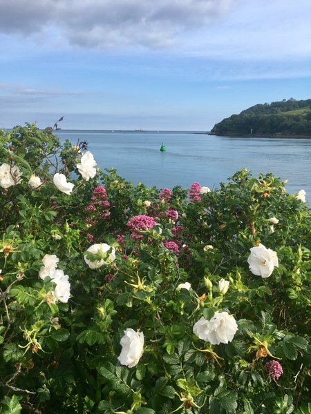 Any Witches Here? Part 8.