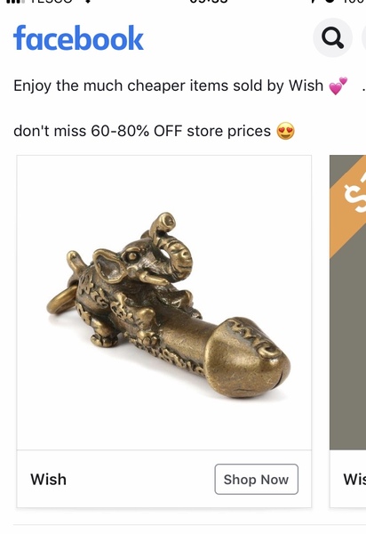 To ask what on earth this is??