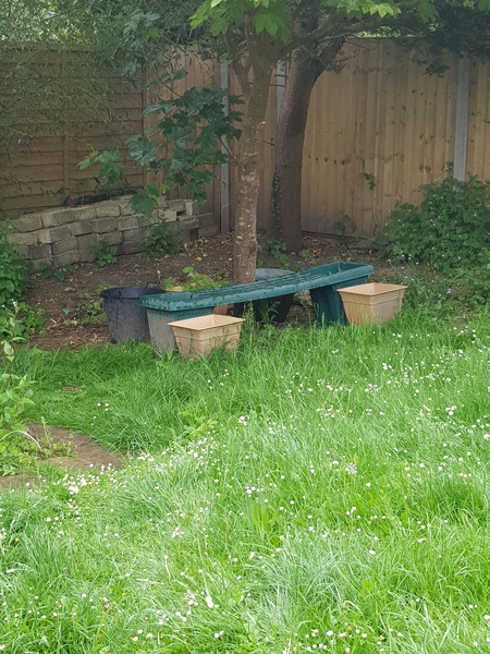 Trunk found in new house!