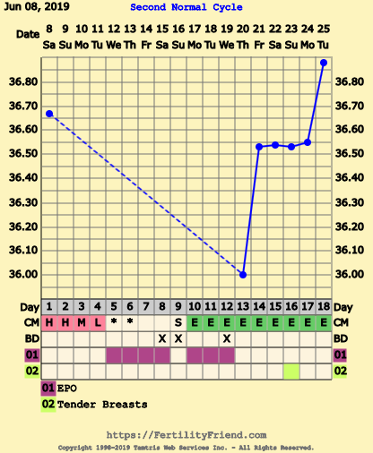 First Pregnancy Missed Miscarriage (Part III)