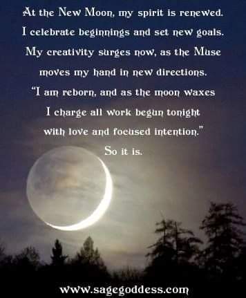 Any Witches Here? Part 8.