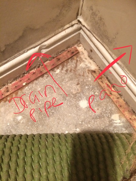 Mould - causes & best treatment ideas