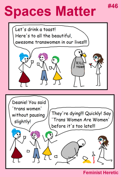 Use of trans identified male as opposed to transwoman.