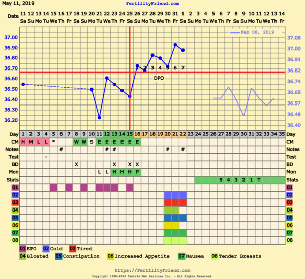 First Pregnancy Missed Miscarriage (Part III)