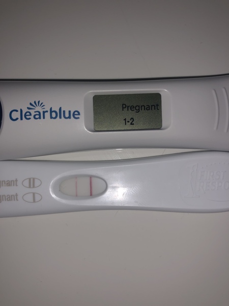 TTC Baby Number 1