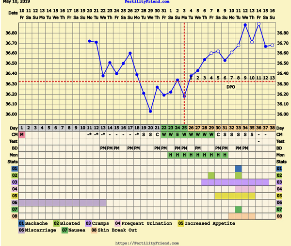 First Pregnancy Missed Miscarriage (Part III)